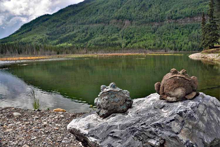 lake scene